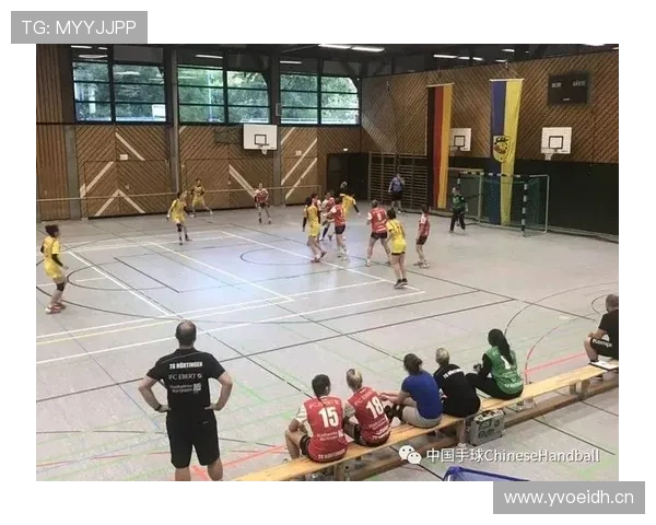 手球助攻判定究竟该怎么看？细解规则边界与争议点